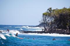 Island-of-Hawaii-surfers